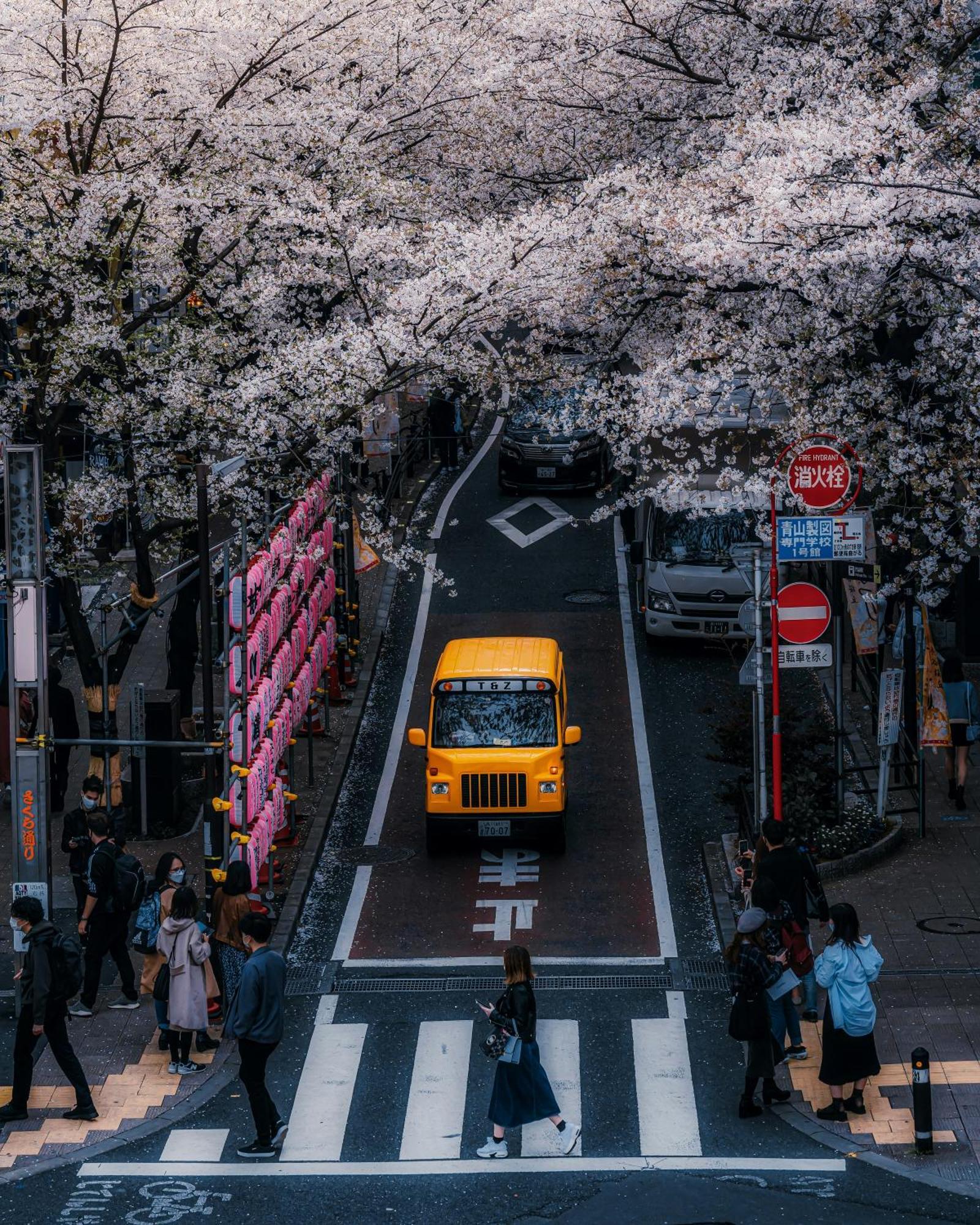 Hotel Illi Tria Shibuya Tokyo